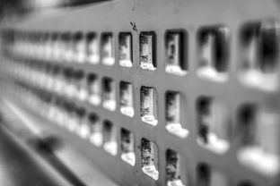 爱游戏平台-青少年运动损伤预防技术及实践研究，青少年运动损伤预防技术及实践研究论文