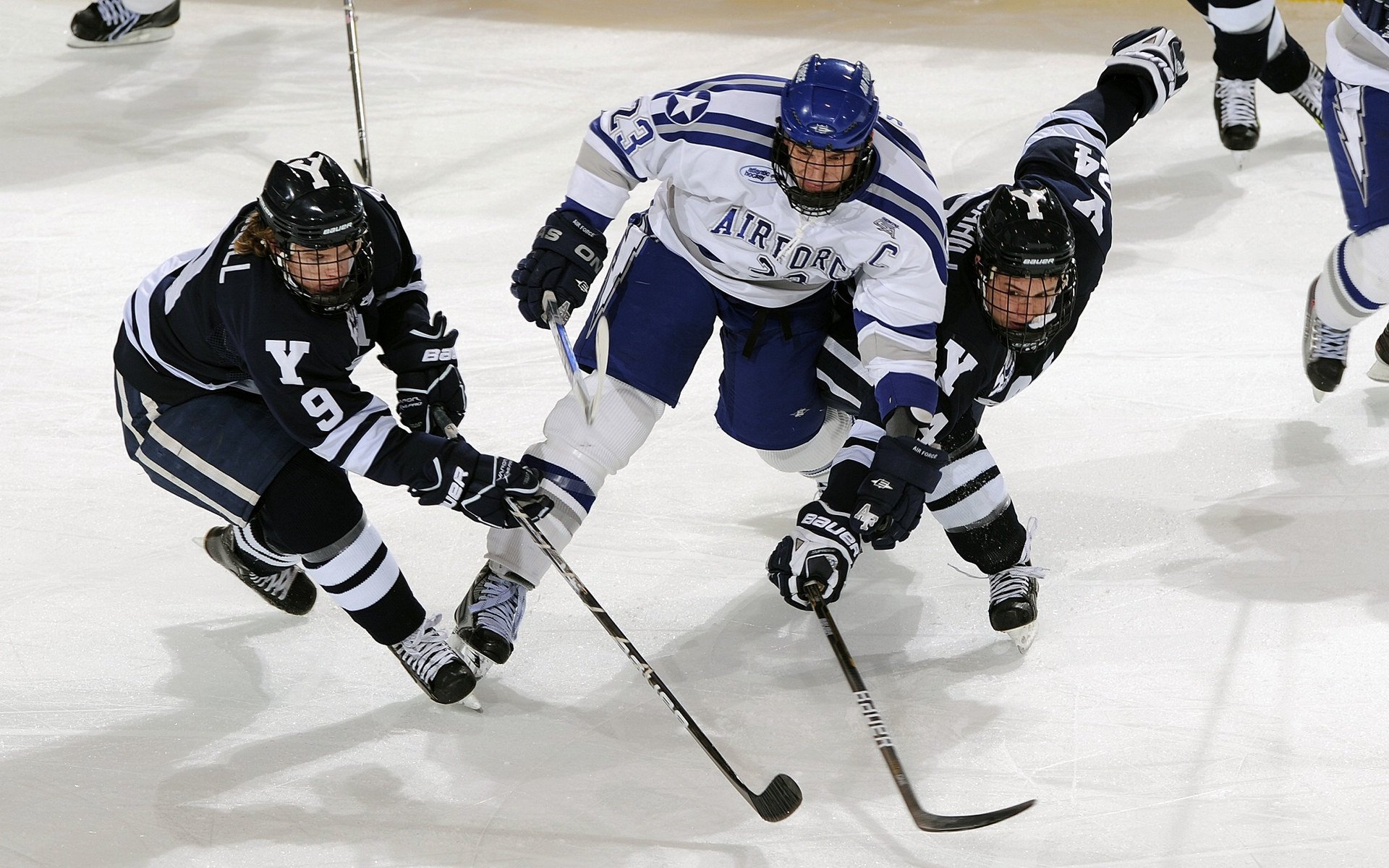 NBA的“绿色行动”故事：环保背后的动人细节，绿色环保行动有哪些具体内容