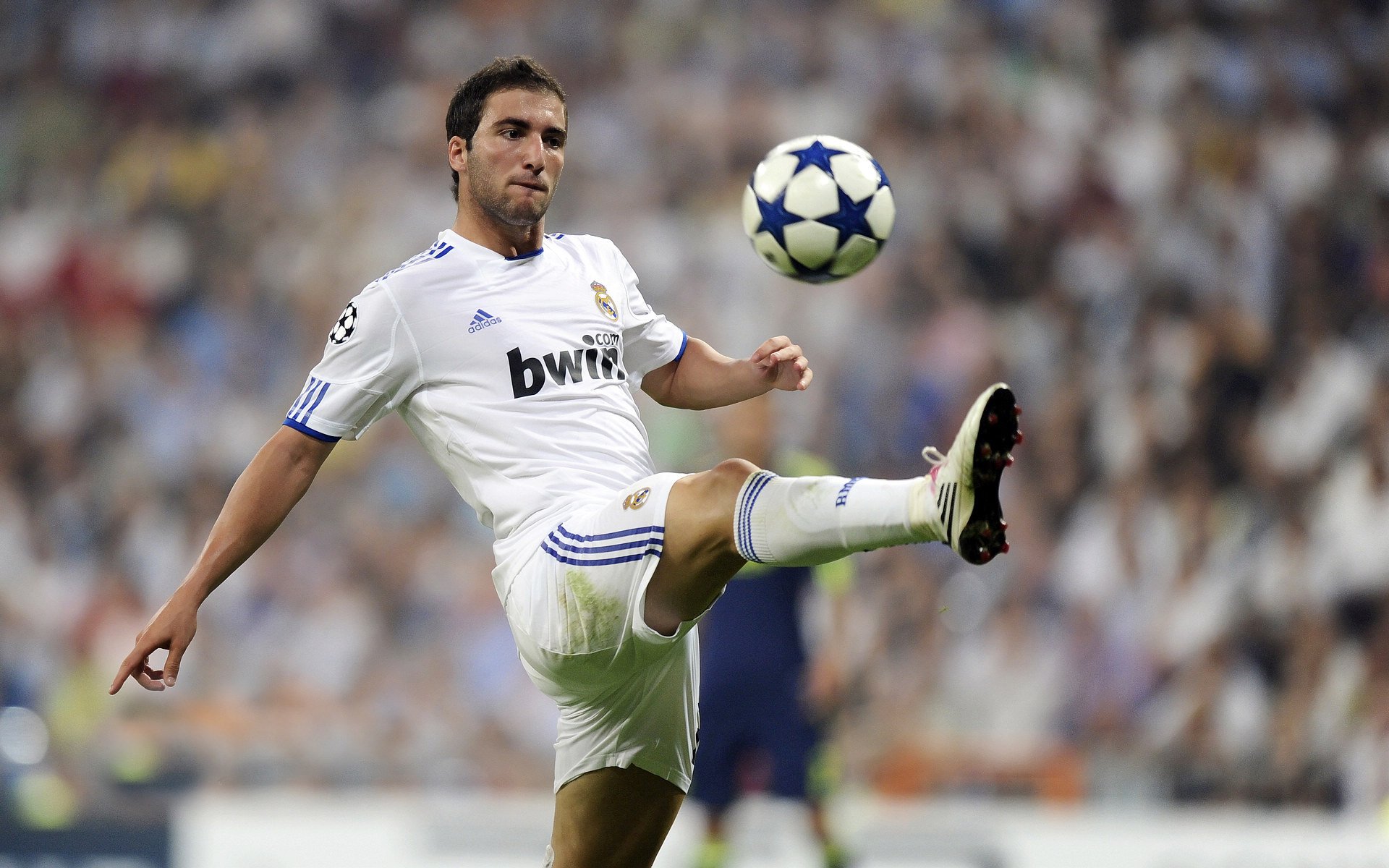 融合多元文化的足球“节庆”在全国多个城市落地，凝聚行业共识