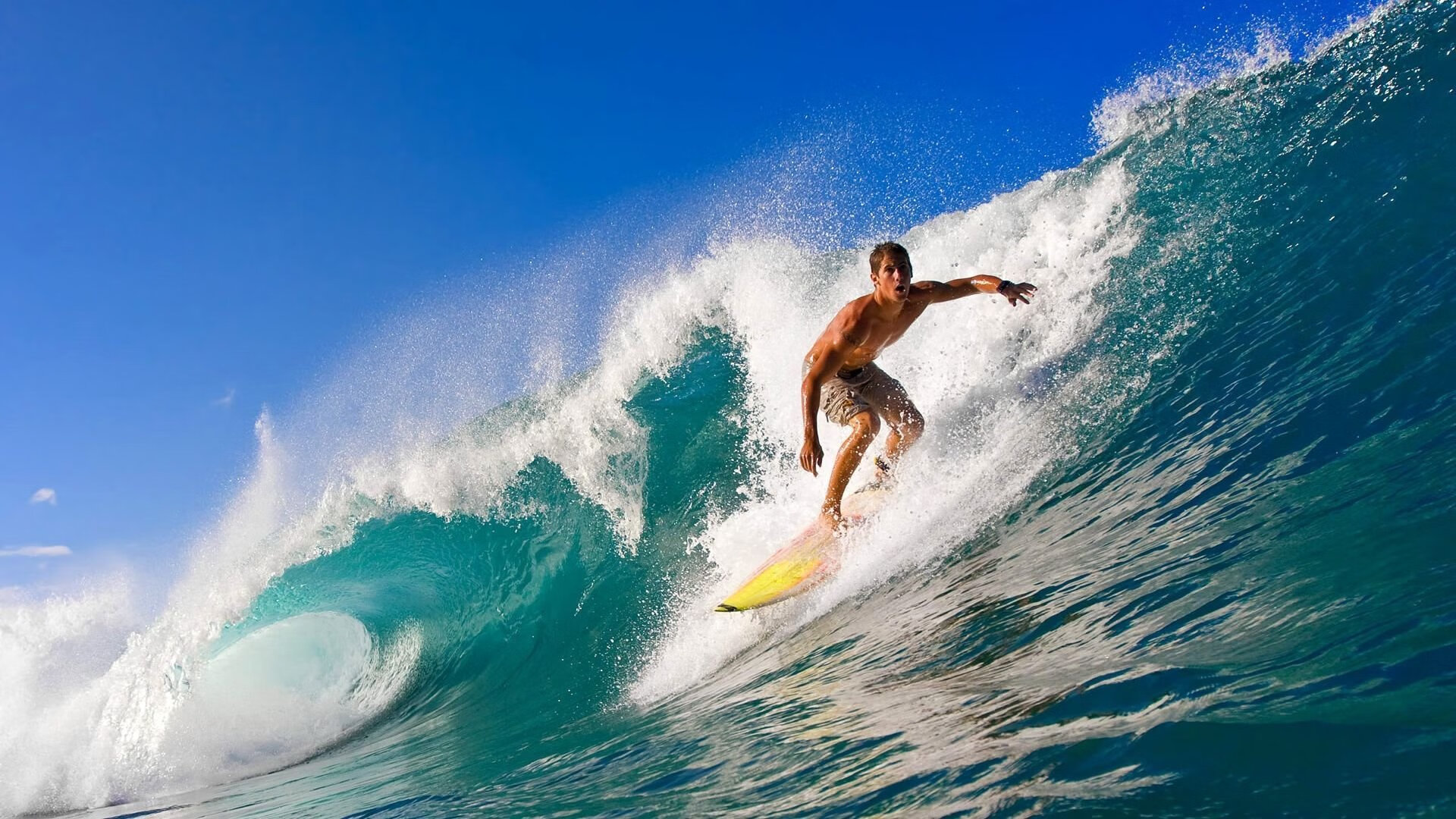 爱游戏官网-足球历史巡礼：从草地到现代化场馆的变迁，足球场的草地是真的还是假的